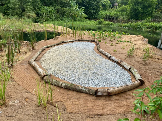 NPARKS - Designing of Floating Wetlands in Pulau Ubin
