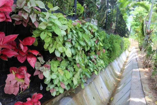 GeoBarrier System at Cheng Soon Garden