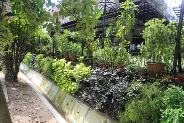 GeoBarrier System at Cheng Soon Garden