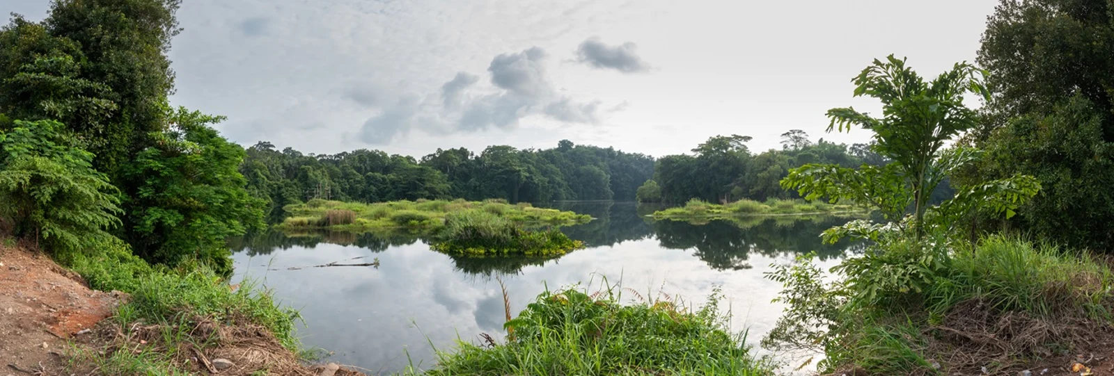 Figure 1: Pekan Quarry in Pulau Ubin