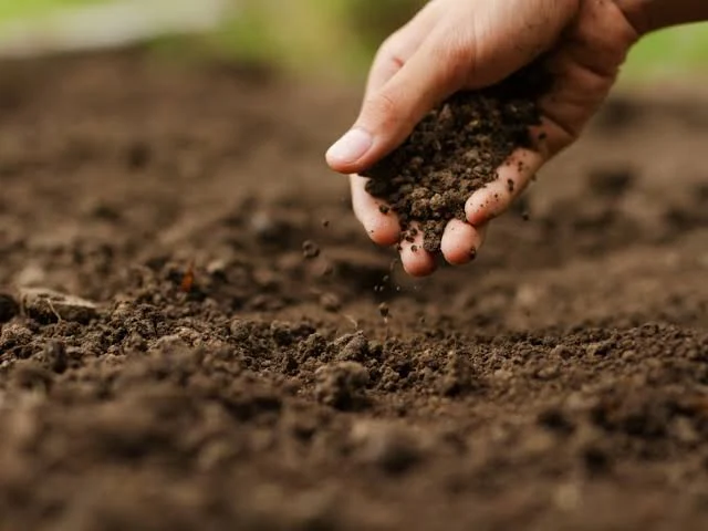 Research · Structured soil mixture for the GeoBarrier System