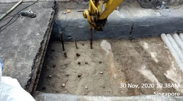Figure 9: Bakau piling