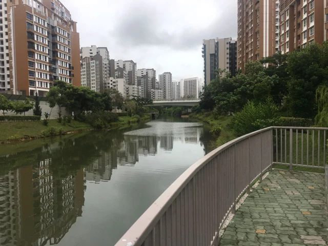 Propagation of Mangroves Species - Punggol Waterway