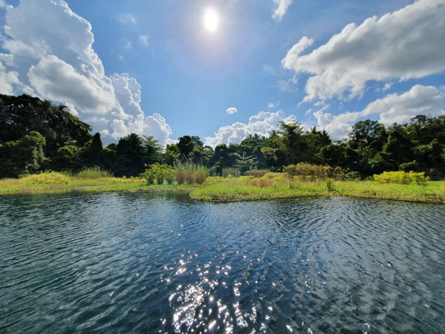 HDB · Floating wetlands