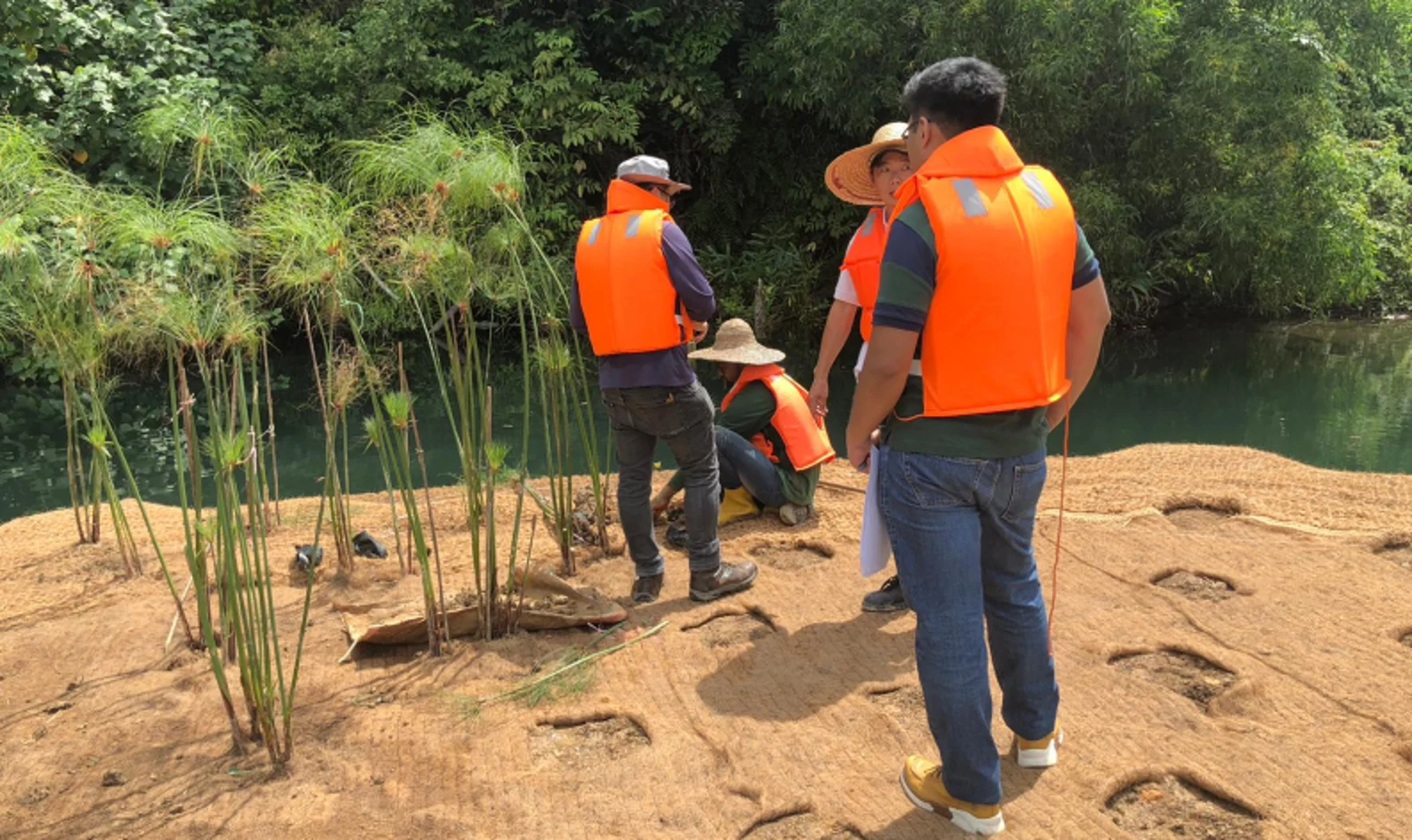 Figure 14: Planting on the floating platforms