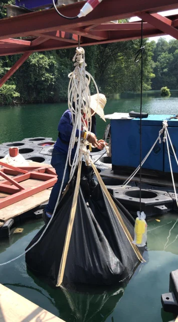 Figure 11: Using the winch to lower the sinker.