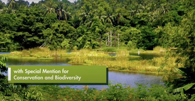 Pekan Quarry floating wetlands · LEAF recognition