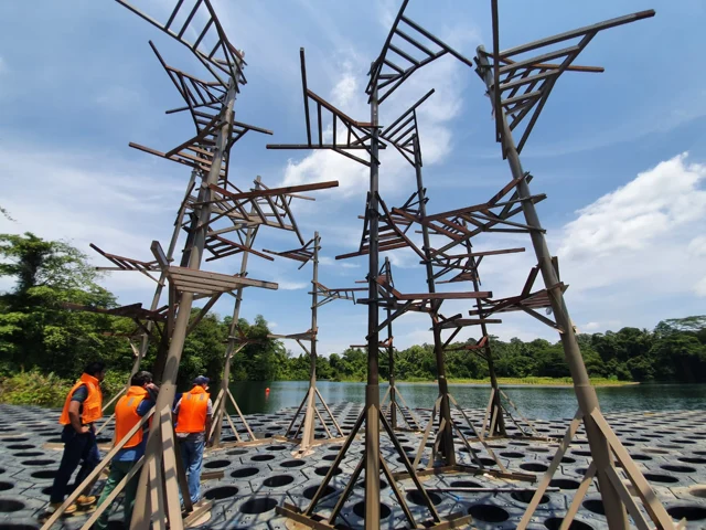 Pekan Quarry floating wetlands